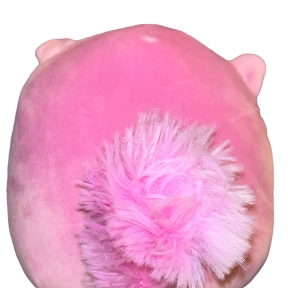 5-inch Allina the Squirrel Official Squishmallows - Picture 2 of 9